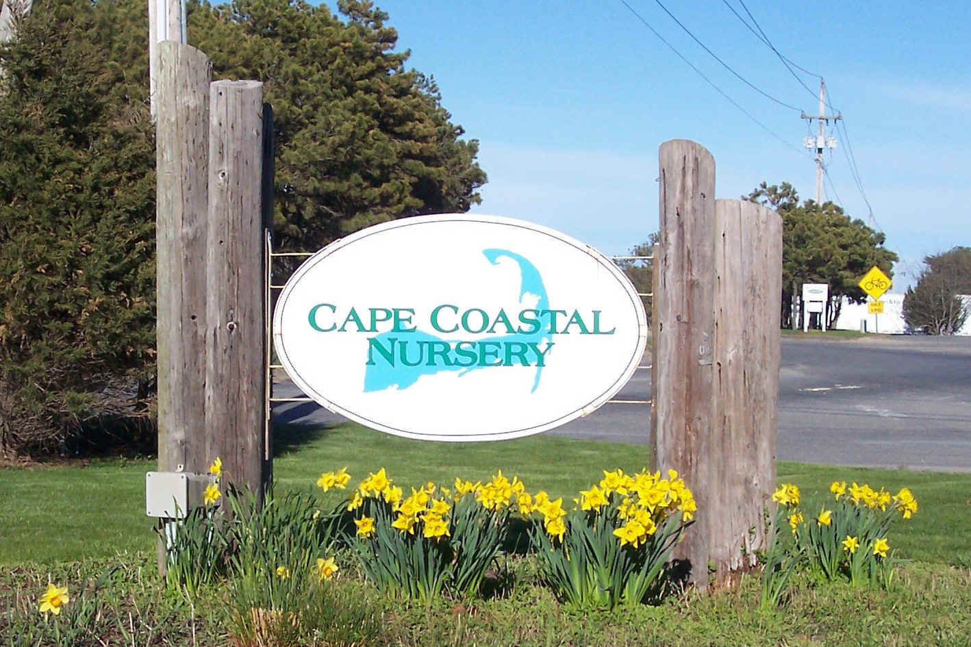 Cape Coastal Nursery